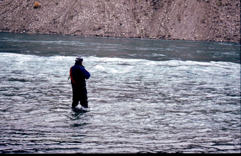 ../Images/048Domville Creek.jpg